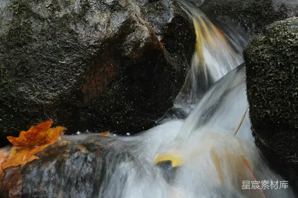 高清摄影 森林中流淌过岩石的水流