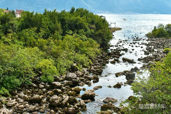 高清摄影 带有岩石和树木的河流