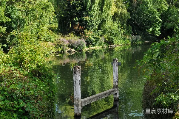 高清摄影 一条秀丽的河流流经茂密翠绿的树林之中。