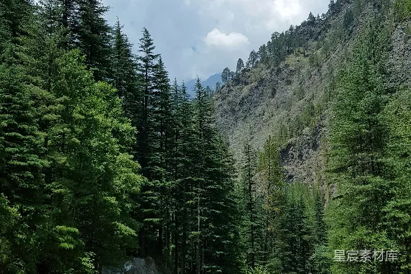 高清摄影 Rocky Mountain 在蓝天白云下白天绿树之中