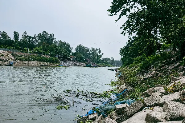 高清摄影 一块岩石海岸，周围环绕着水域和一边的树木。