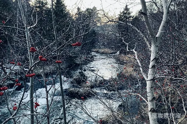 高清摄影 河边有雪的河流