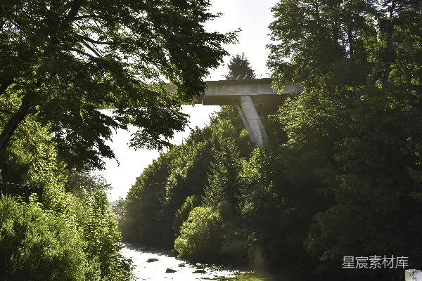 高清摄影 近树的一座桥墩混凝土结构