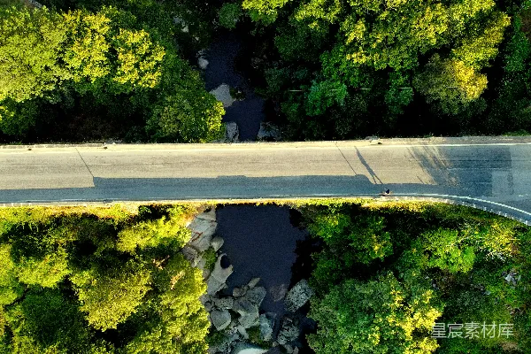 高清摄影 绿树与道路的空中俯视图