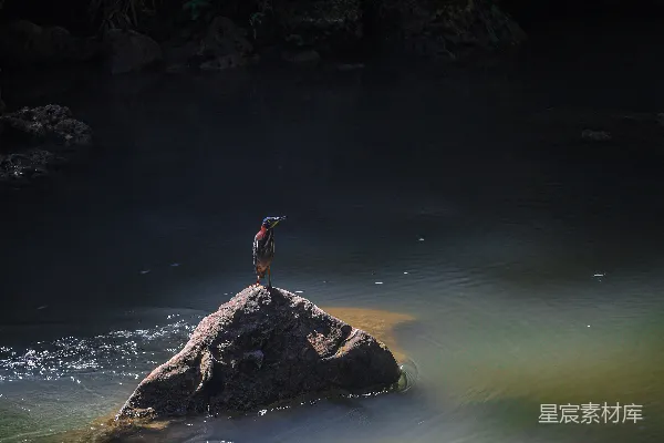 高清摄影 白天水中的那个人