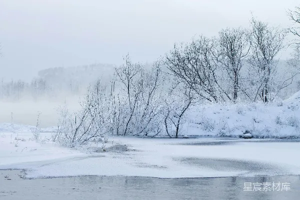 高清摄影 被覆雪的树木环绕的一片水域