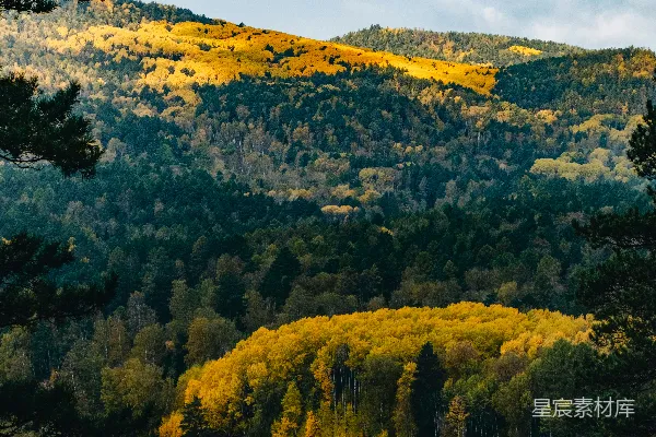 高清摄影 河边一片树木环绕的美景