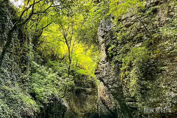 高清摄影 白天河边绿树环绕