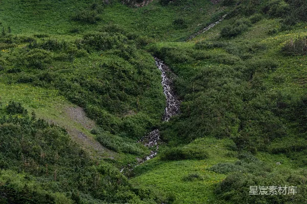 高清摄影 一条河流穿过森林