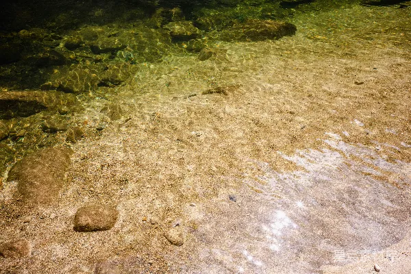 高清摄影 一条水流穿过一片翠绿的森林