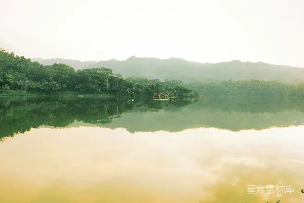 高清摄影 围绕着树木的水域