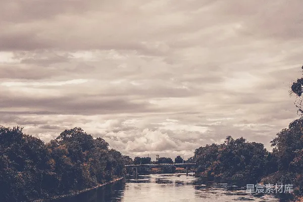 高清摄影 一条河流穿过一片茂密的绿林