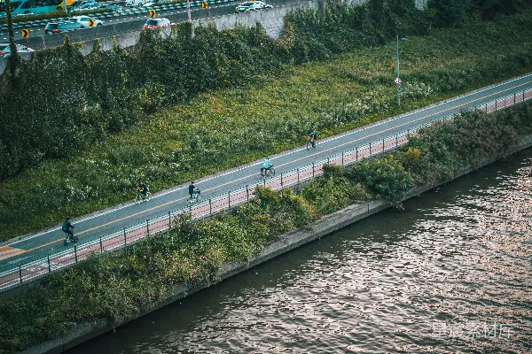 高清摄影 一群人骑自行车沿着一条河边的道路行驶
