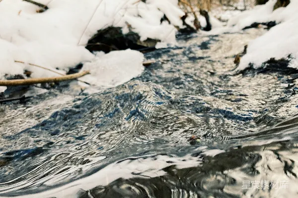 高清摄影 一条溪流穿过一片覆盖着白雪的森林