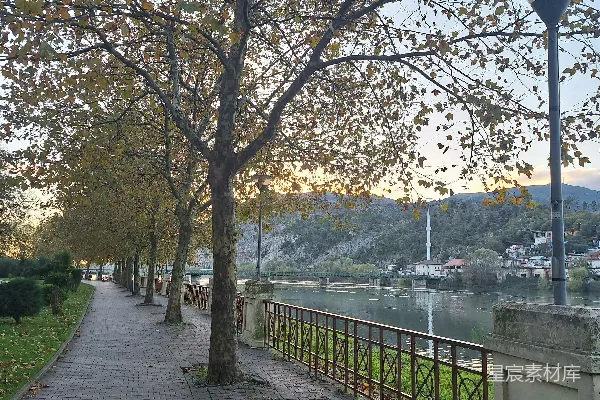 高清摄影 路边有一棵树的小道