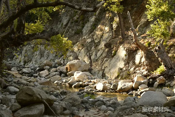 高清摄影 罗克溪床边树木间有阳光