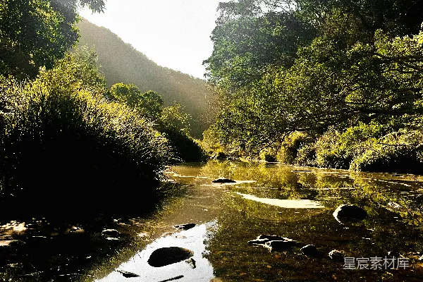 高清摄影 白天河边绿树环绕