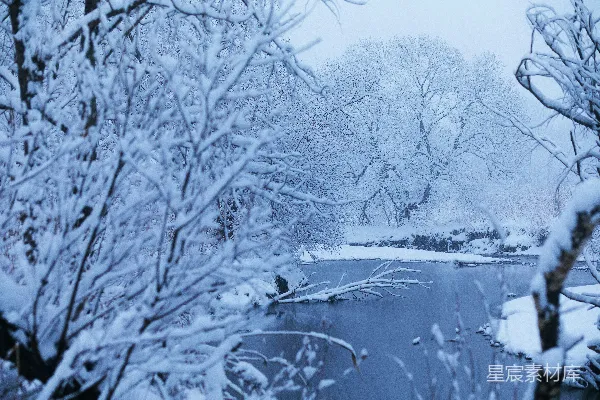 高清摄影 覆盖着白雪的树木和河流