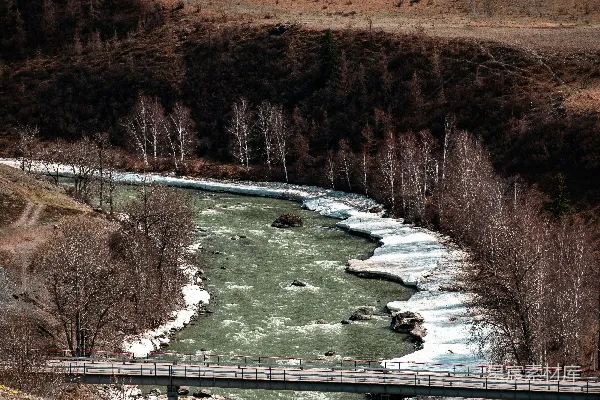 高清摄影 森林中一条河上的桥