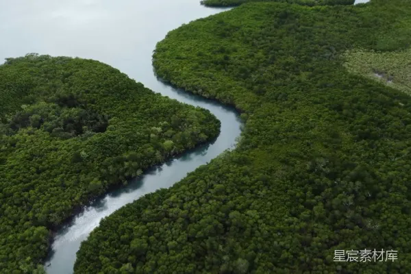 高清摄影 蜿蜒的河流在茂密的绿色森林中穿过 aerial 视角