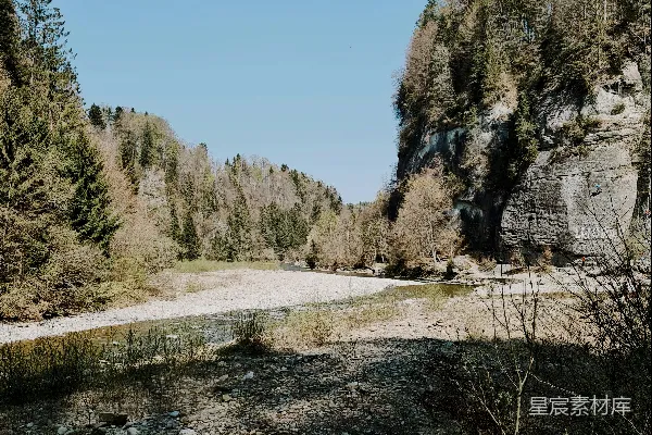 高清摄影 白天岩石山附近的绿树