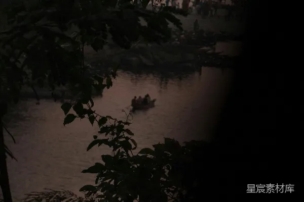 高清摄影 白天绿色植物靠近水体附近