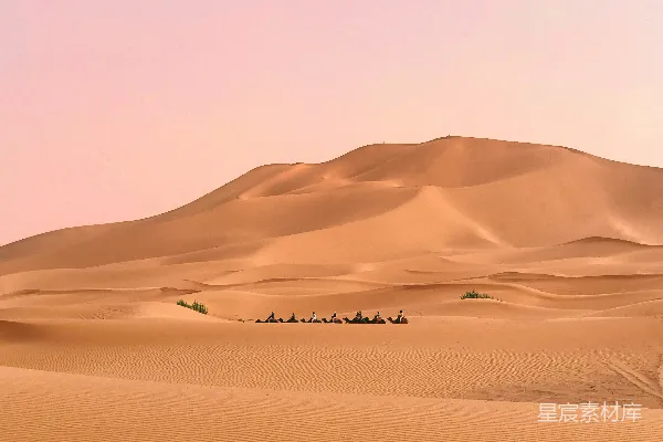 高清摄影 一群人在沙漠中骑着骆驼前行。