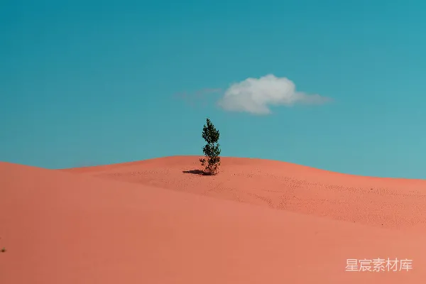 高清摄影 黑色风衣的男人坐在棕色的沙子上，在蓝天下的白天姿势是坐姿。