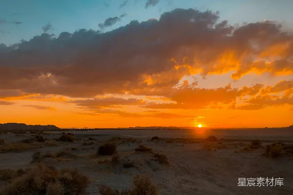 高清摄影 夕阳下的绿草与棕沙间