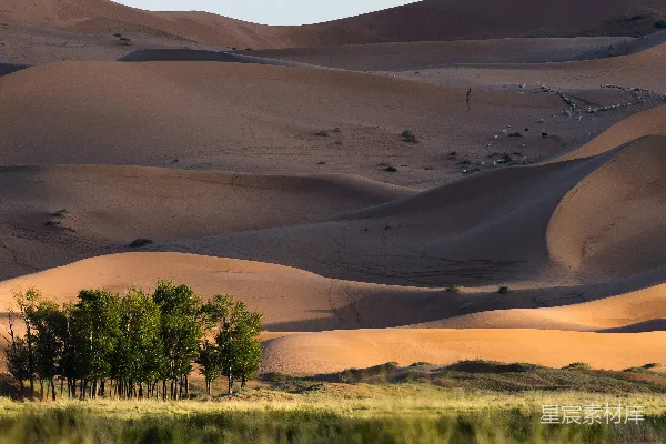 高清摄影 一片沙地与树木相间的风景