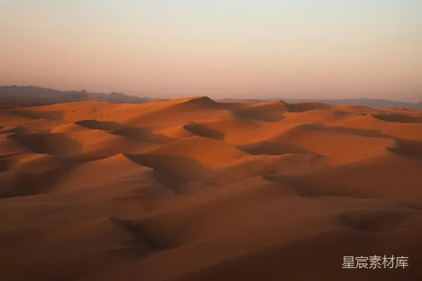 高清摄影 远处沙丘和树木相间的沙漠景观
