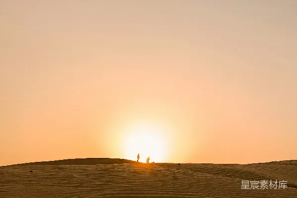高清摄影 沙漠中太阳正在落山，几只骆驼相伴。