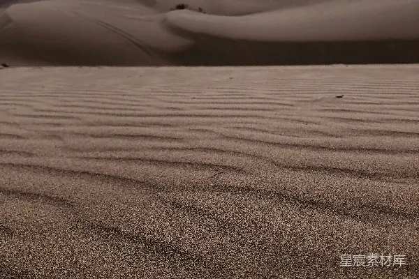 高清摄影 白天的棕色沙地