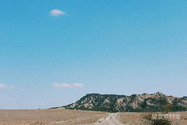 高清摄影 白天的棕色沙地和绿色草地