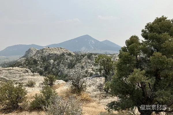 高清摄影 前景中有树木的山峦景色