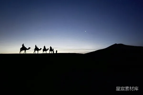 高清摄影 一群人在沙漠上骑着骆驼前行