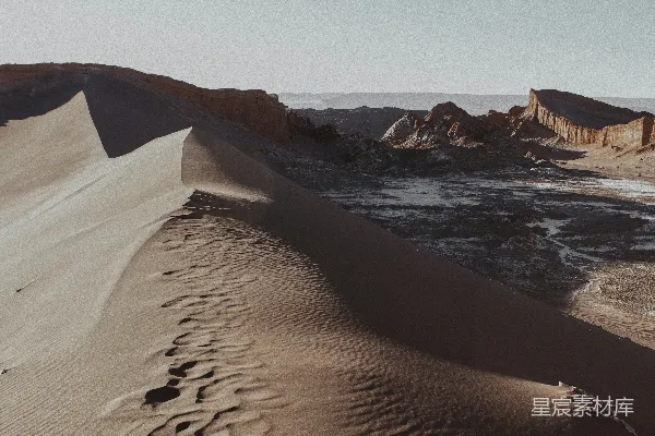 高清摄影 白天近水源地的棕色沙粒