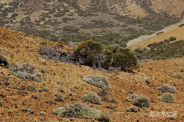 高清摄影 干旱的火山地貌，稀疏植被和岩石。