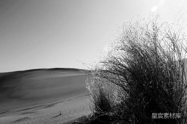 高清摄影 黑白照片中的沙丘