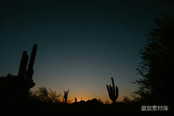 高清摄影 夕阳下轮廓分明的沙漠景观，有仙人掌。