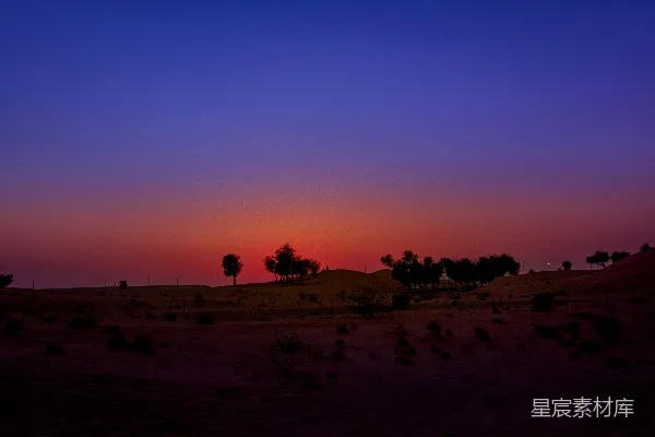 高清摄影 沙漠中的夕阳，前景中有树木。