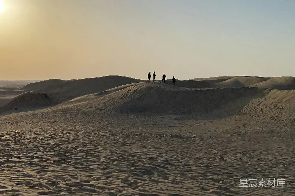 高清摄影 两个人在白天走在棕色的沙滩上