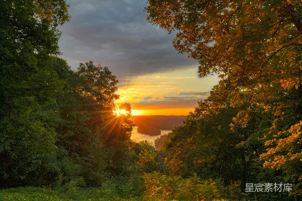 高清摄影 夕阳下的绿草地上有树木