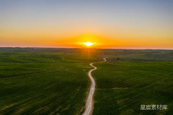 高清摄影 夕阳下的绿草地