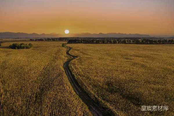 高清摄影 夕阳下棕色地块上的橙色天空