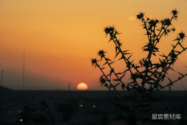 高清摄影 城市的一幕日落