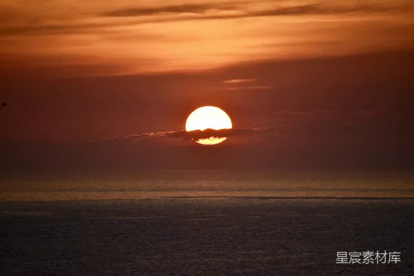 高清摄影 夕阳下海面上飞鸟的轮廓