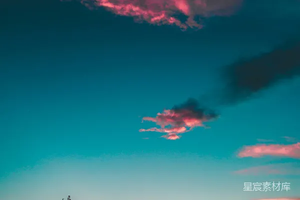 高清摄影 夕阳下的树影轮廓
