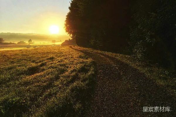 高清摄影 夕阳下的绿草 fields