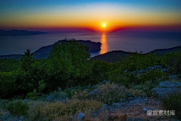 高清摄影 海边的树在金色时刻